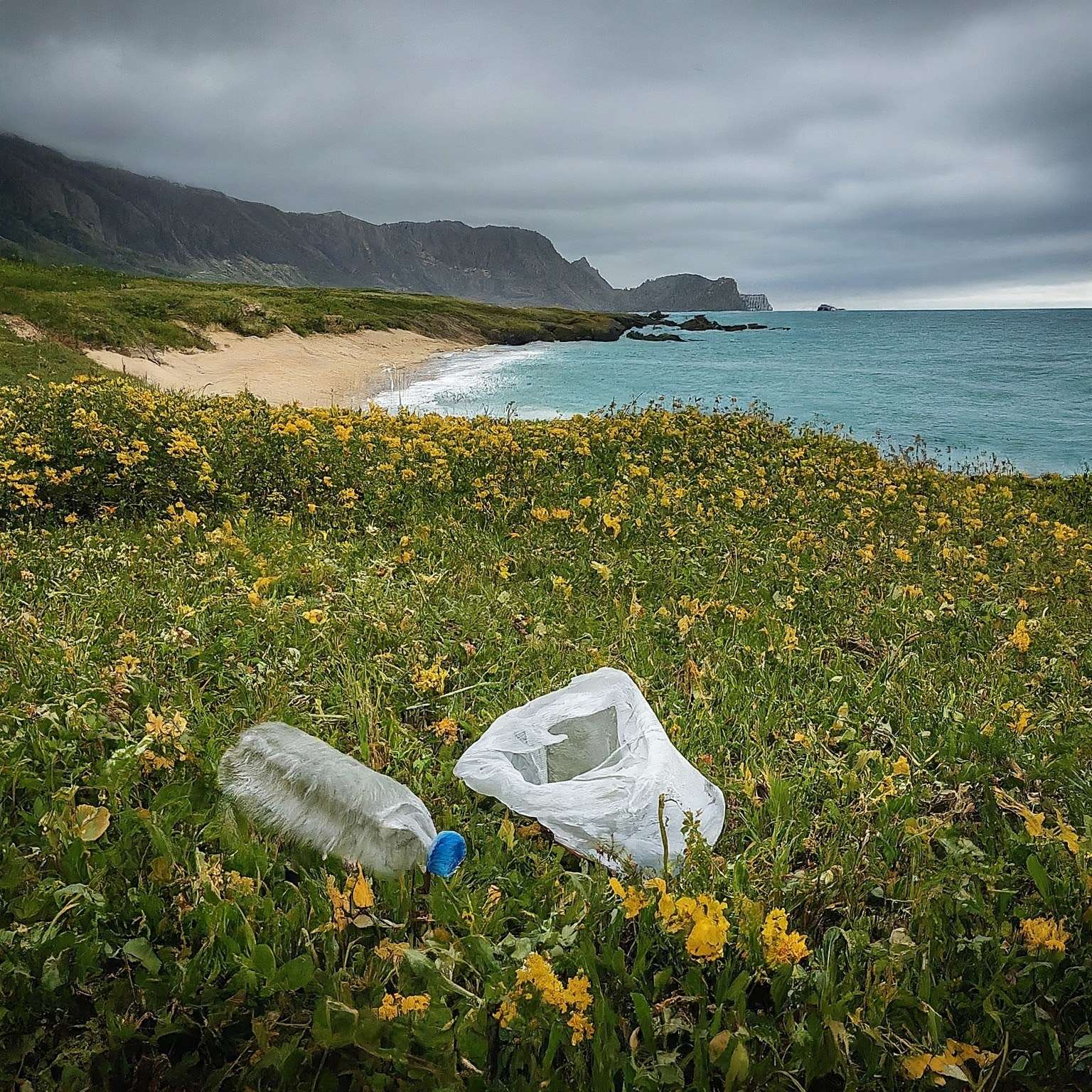 Coastal Clean-up Day